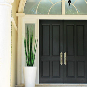 Schlangengras (63″) mit Belle M Planter